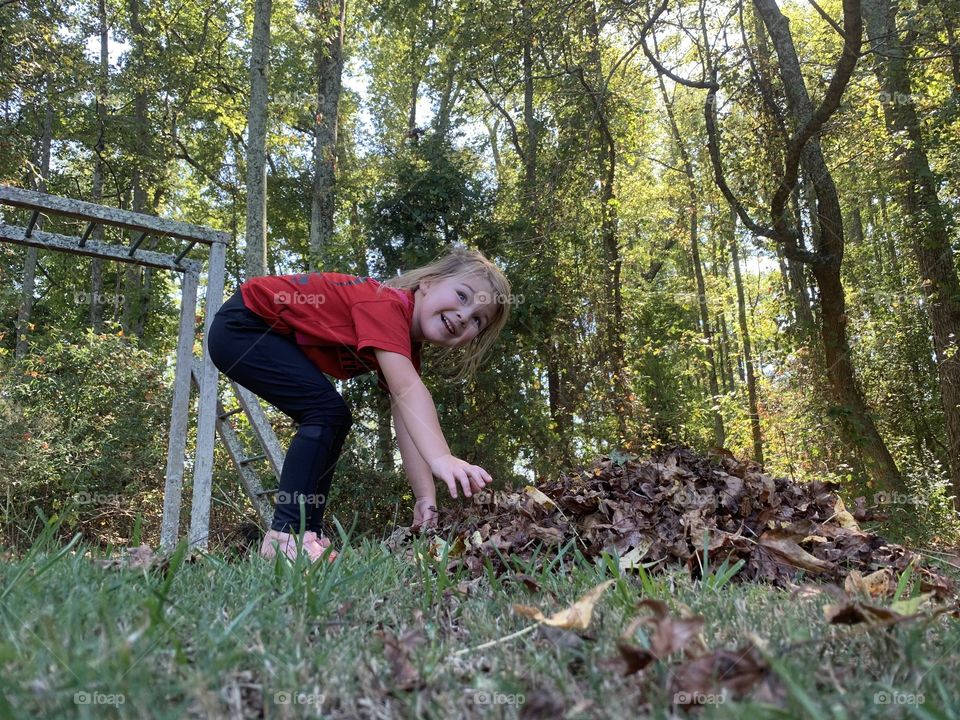 Playing in the leafs 