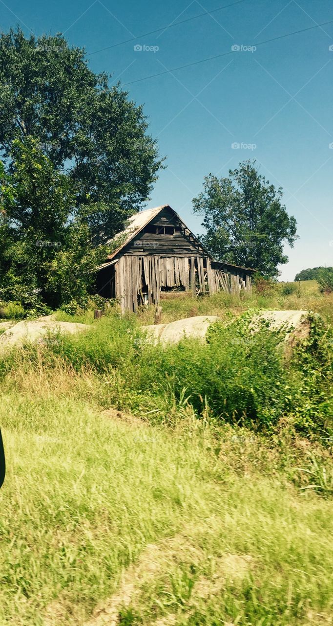 Old cabin building on a grassy spot.