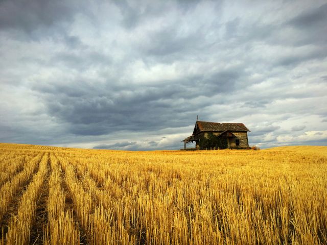 Beautiful Farm