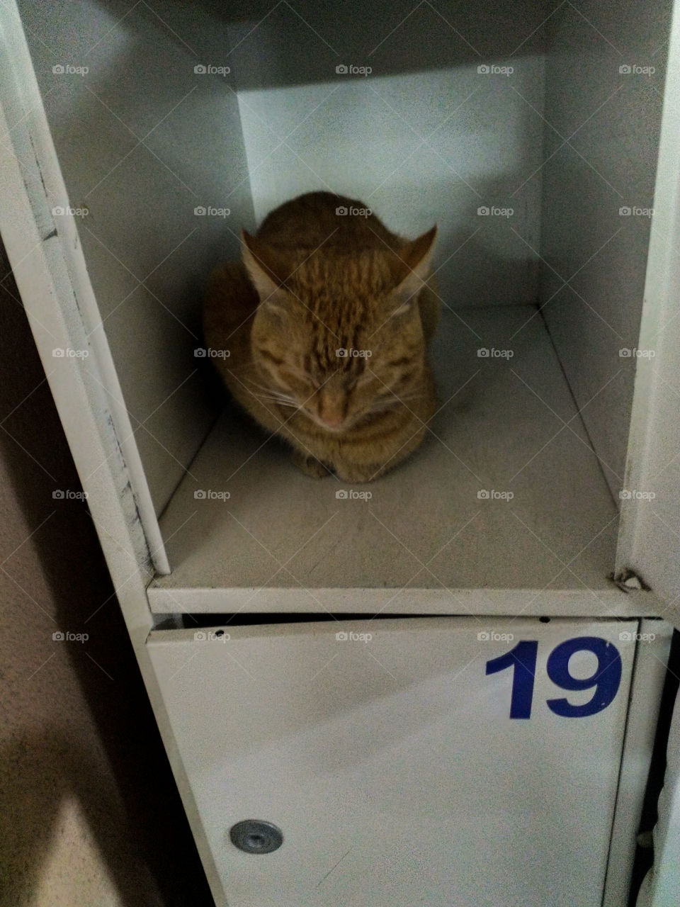 Забери меня.