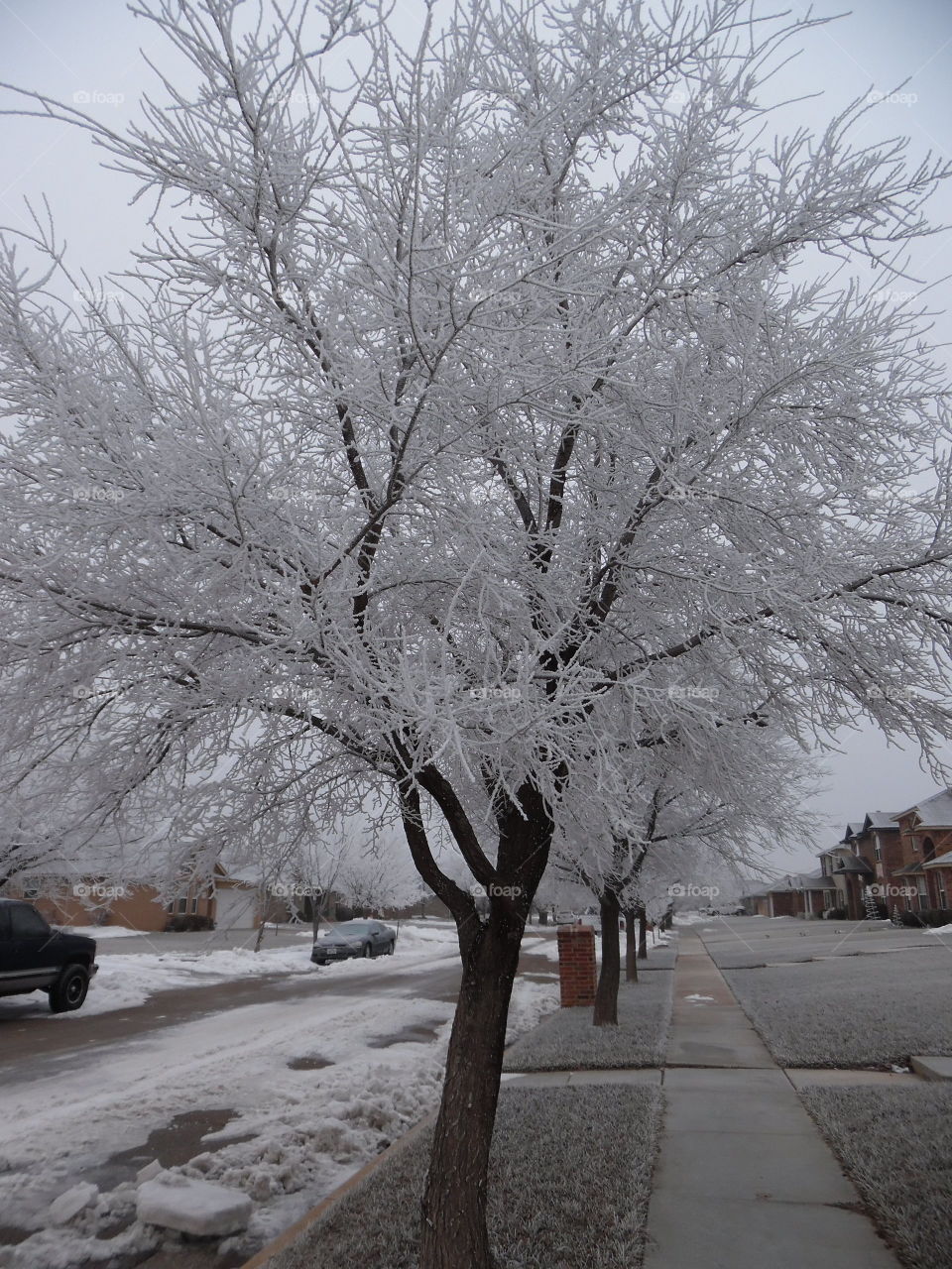 Jack frost nipping at the nose 👃 👅