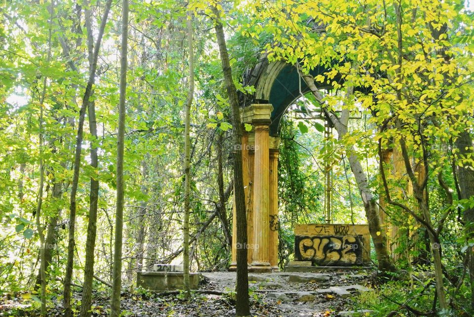 Abandoned altar in forest