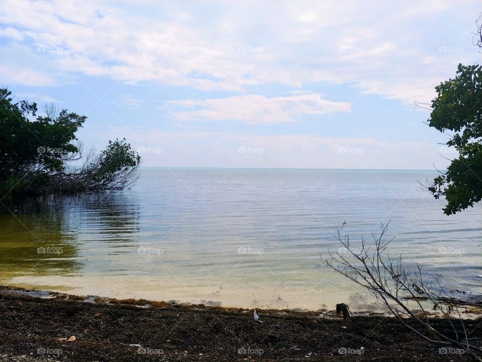 Long Key State Park, Florida