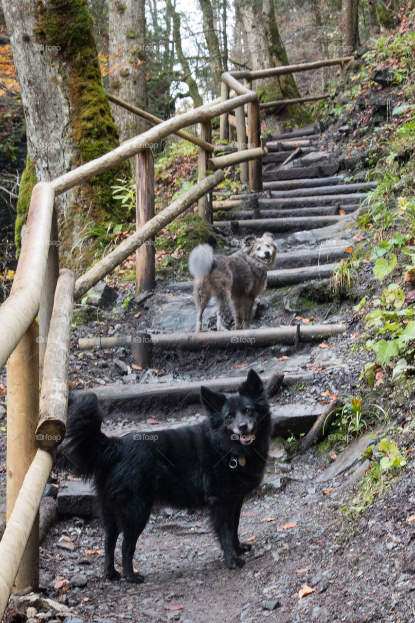 Hiking with my girls 