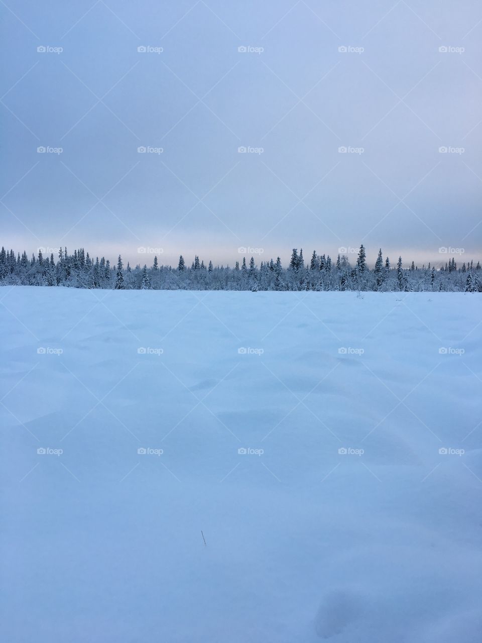 Over view of snowy landscape