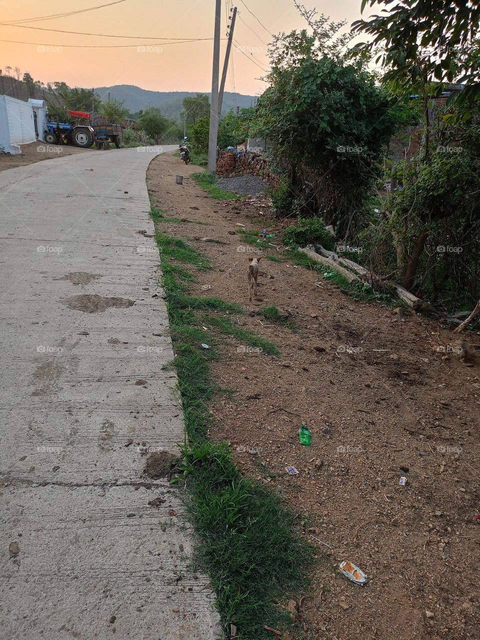 this is Indian Village road😯
cleanliness no this village