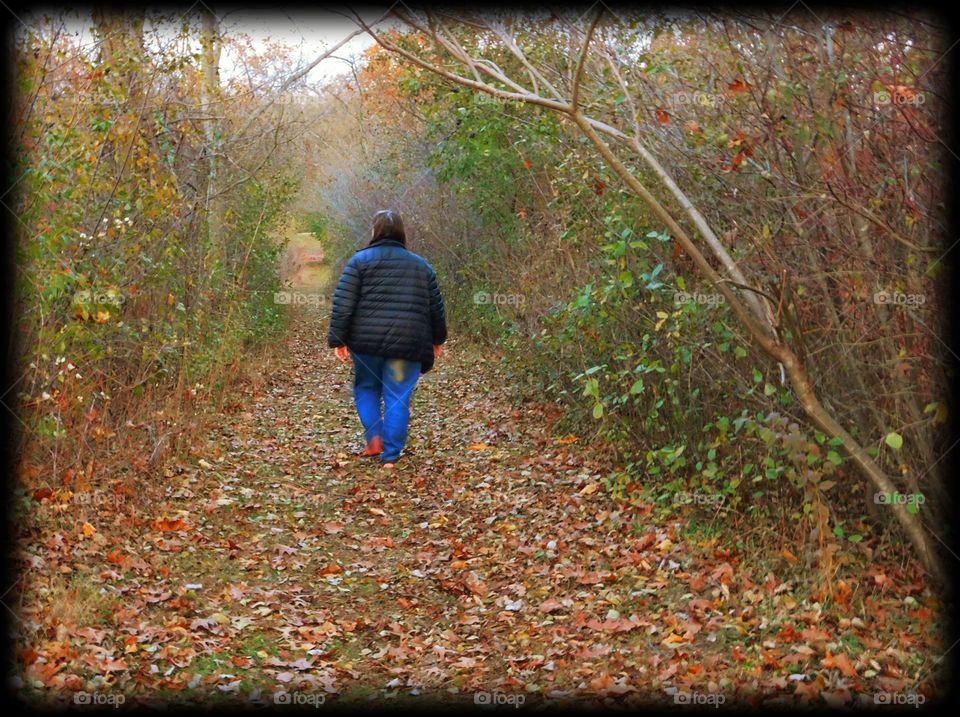 walk in fall