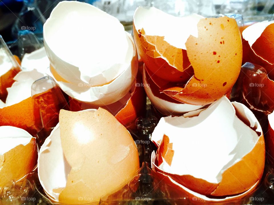 Egg shells