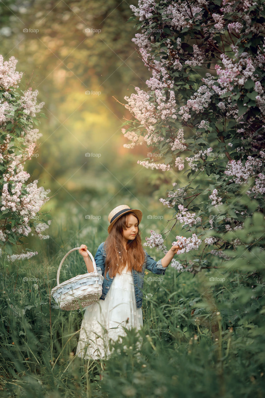 Little girl in a hat near blossom lilac tree at sunset 