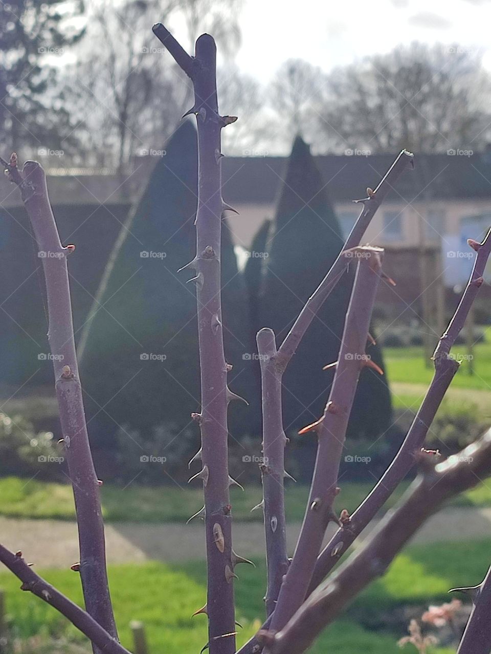 Visit of the castle of Havré, Hainaut