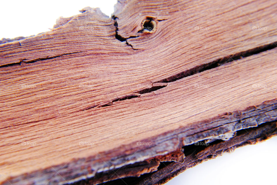 Peel tree close up isolated