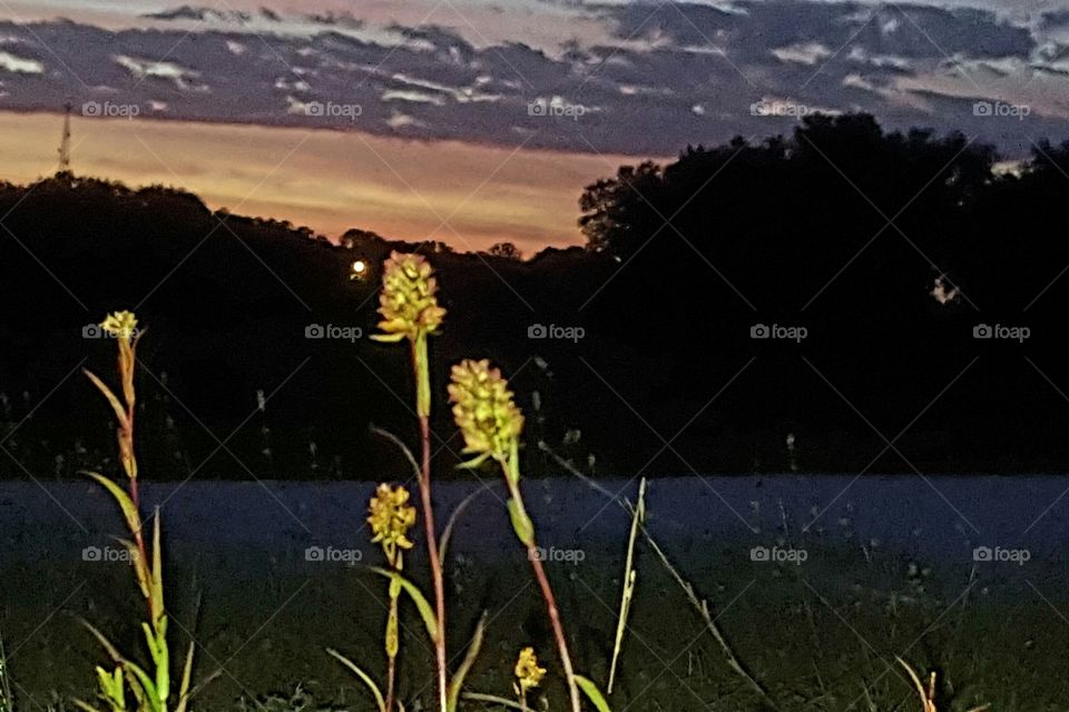 Landscape, No Person, Sunset, Lake, Nature