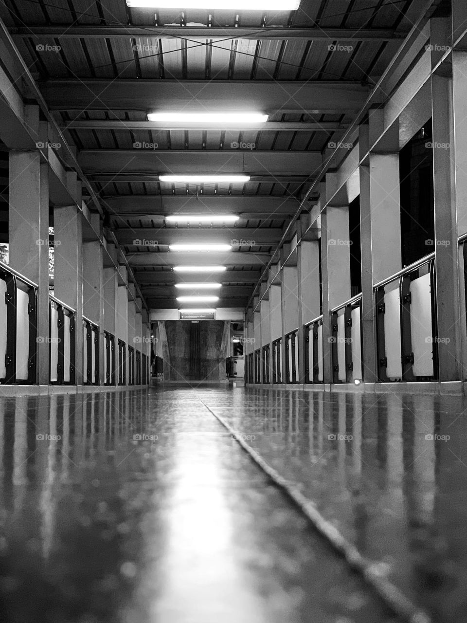 Night scene as ants view on linkage to train station in Bangkok. Seems they got nice view better than us some how ☺️