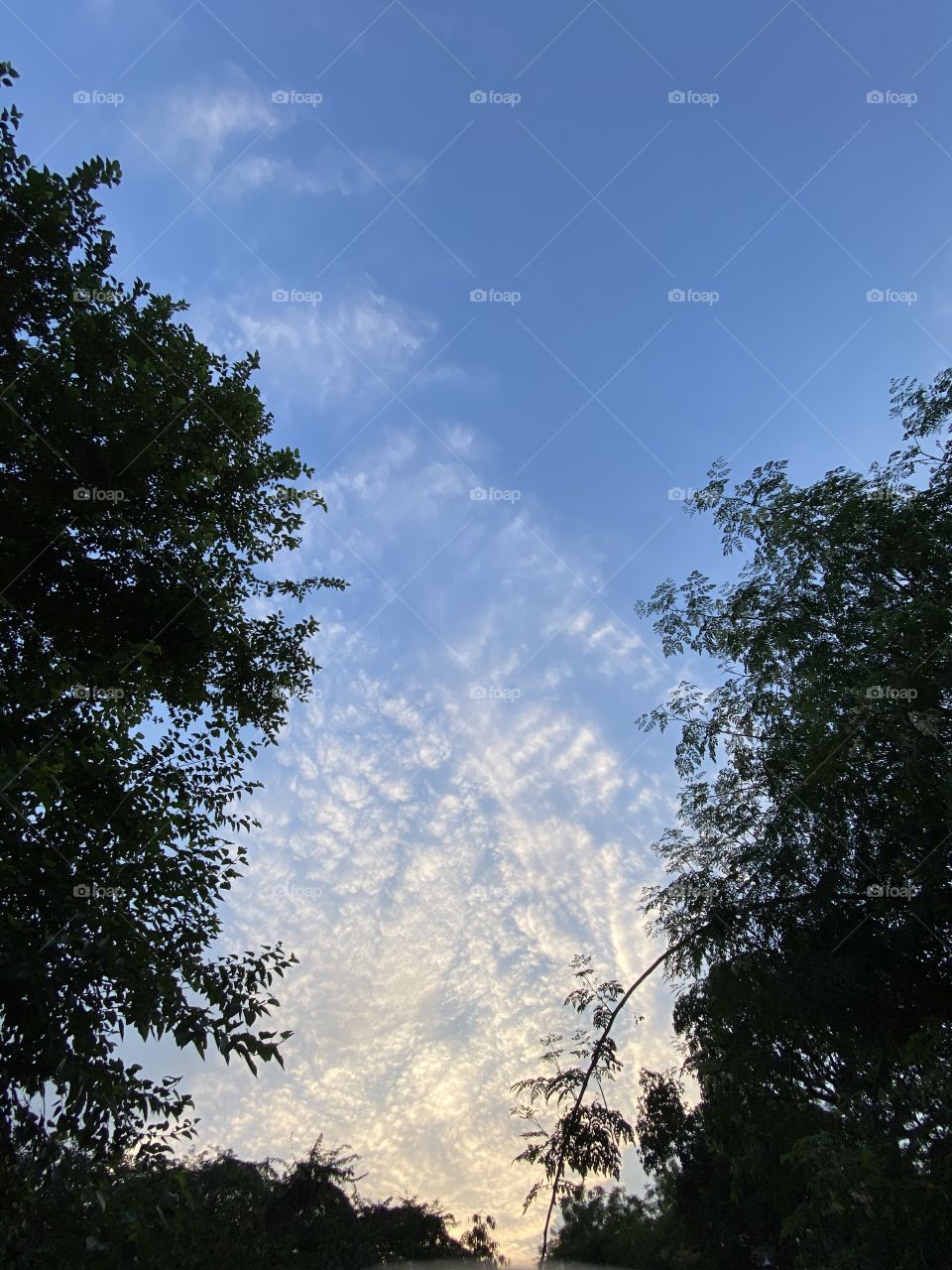 The picture that you took with your camera is the imagination you want to create with reality