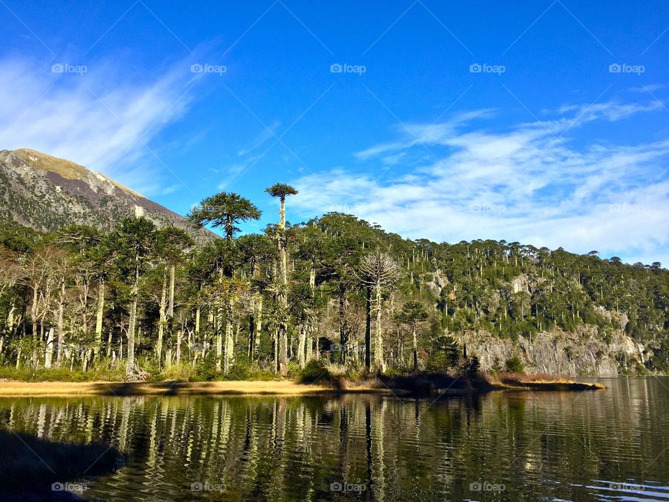 Hiking in southern Chile 