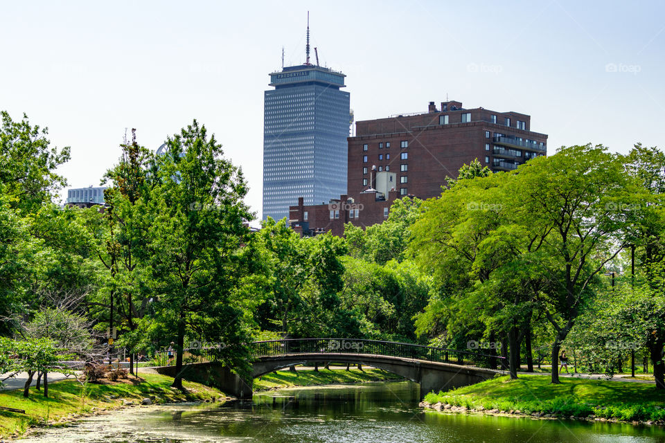 Boston’s nature and architecture