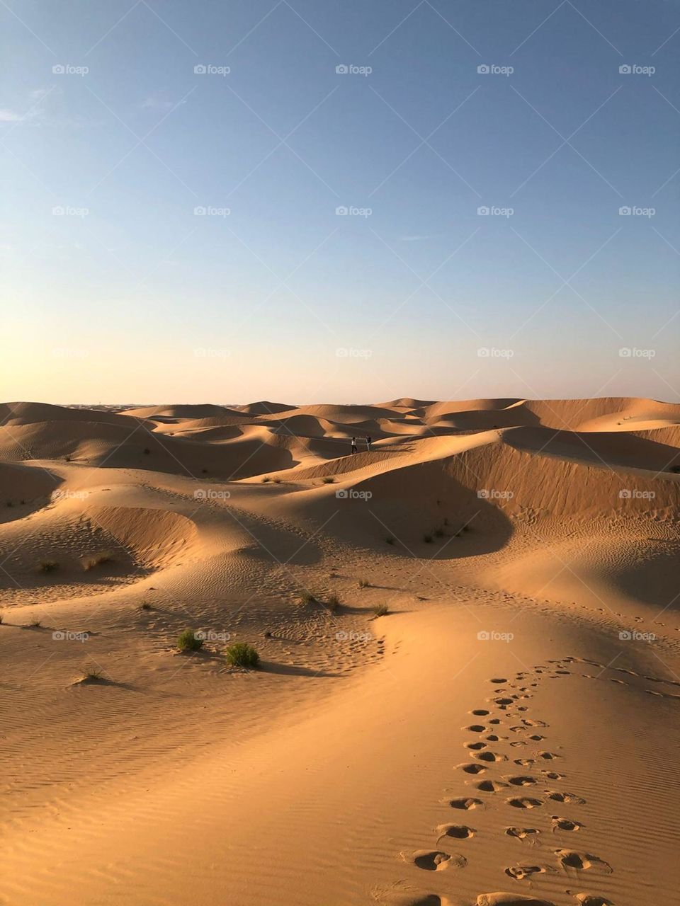 Peaceful and hot desert