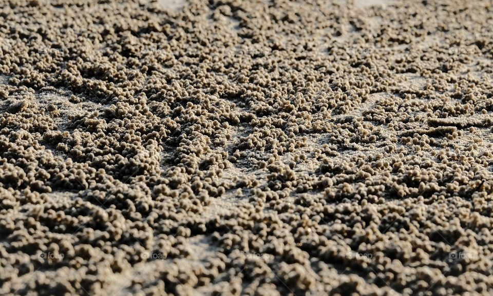 Ball shape sand molding by ghost crab