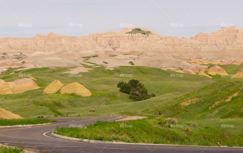 Trip to south dakota