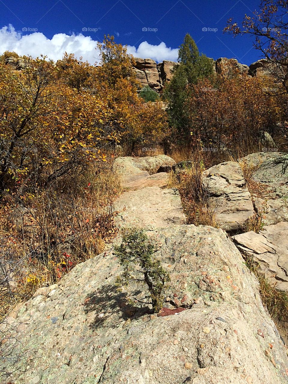 Autumn in the mountains