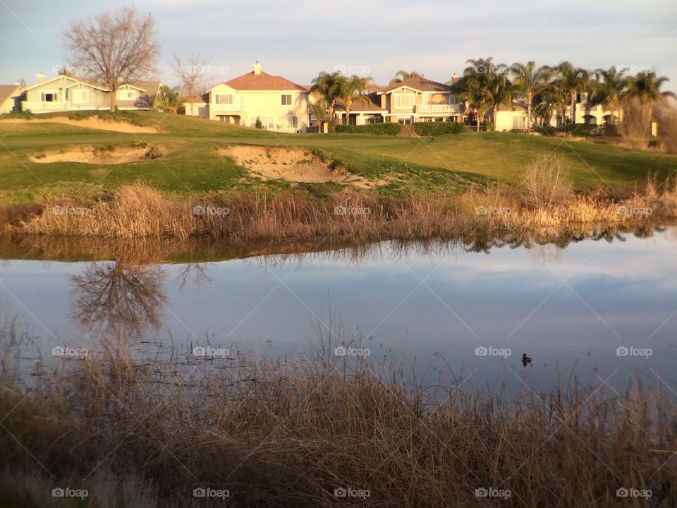 Houses next to lake