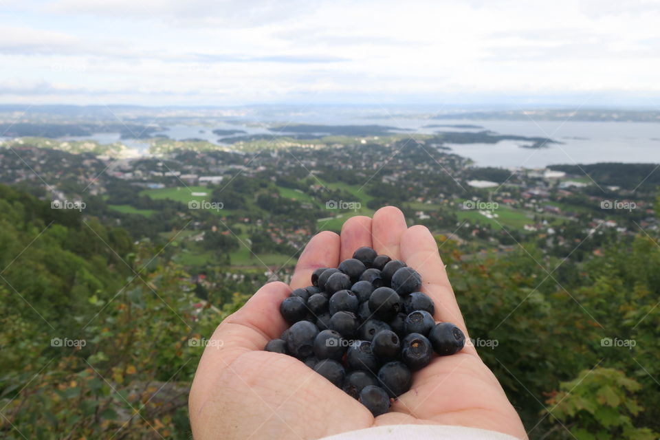 blueberries