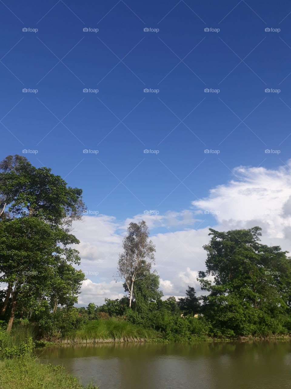 Beautiful sky and cloud in the sky
