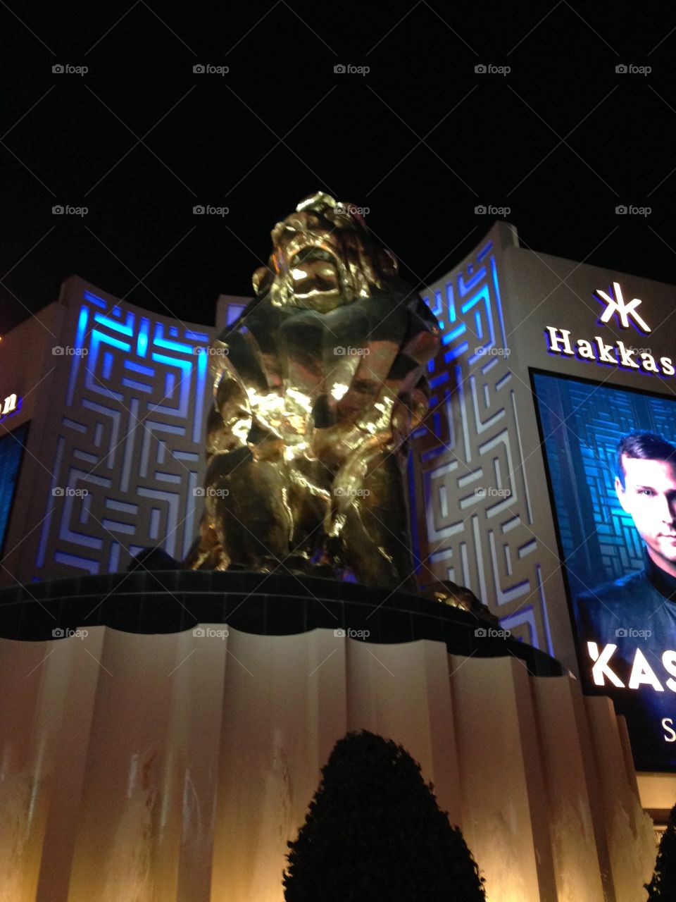 MGM Grand

Published by:
HappyBrownMonkey 