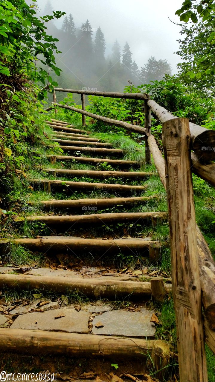 Wood Stairs of Sky  Rize / TURKEY