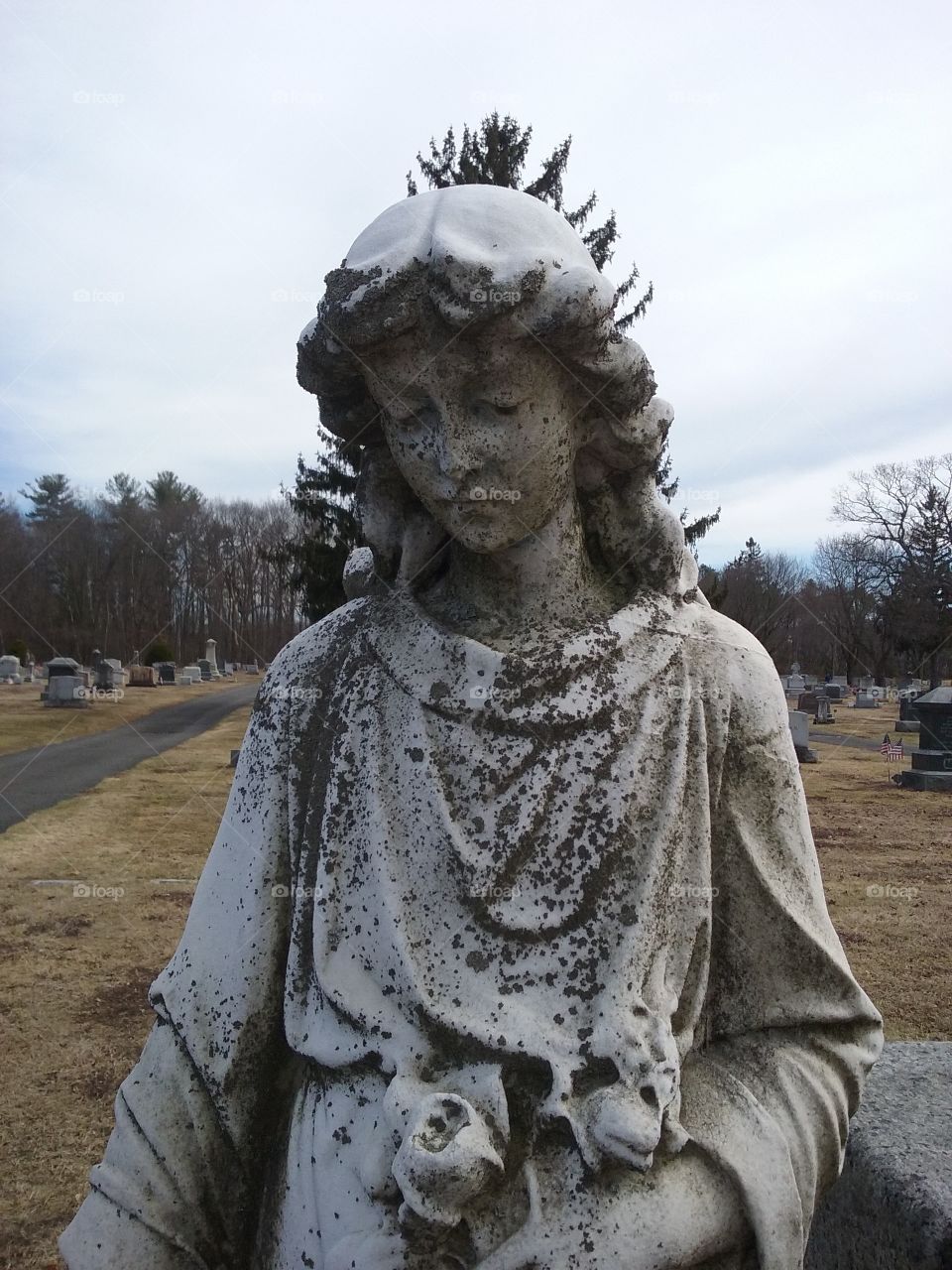 cemetary