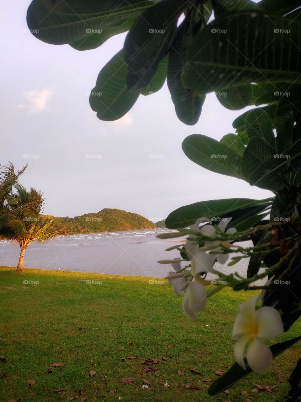 Sea view in the evening, seeing the sunlight