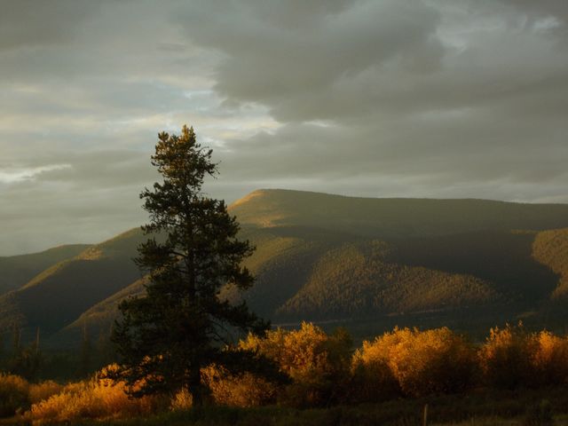 Montana 