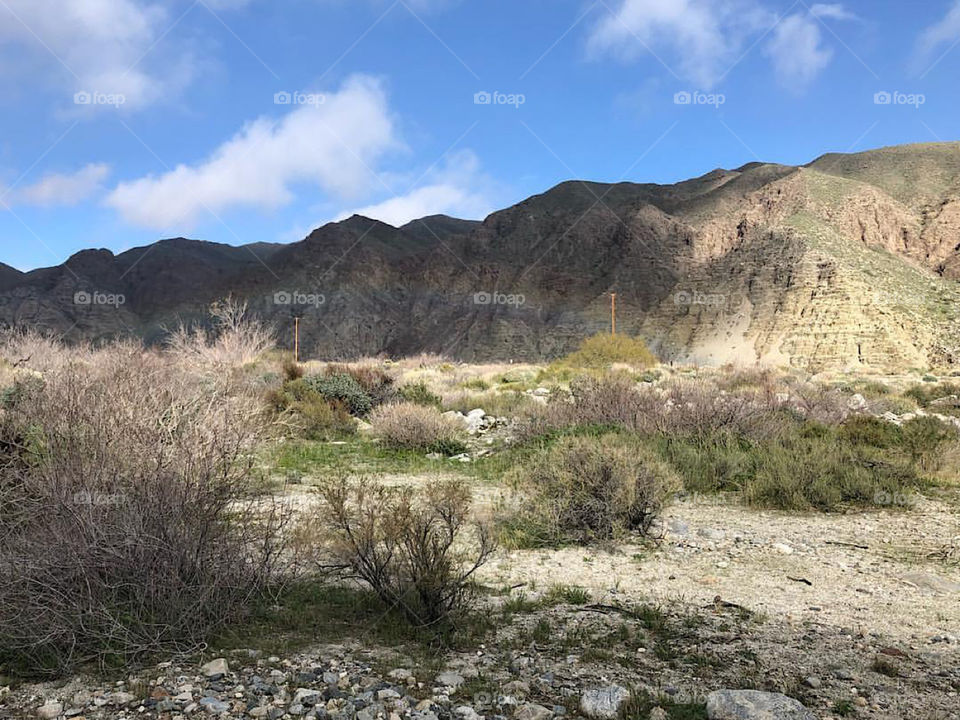 Whitewater Preserve California 