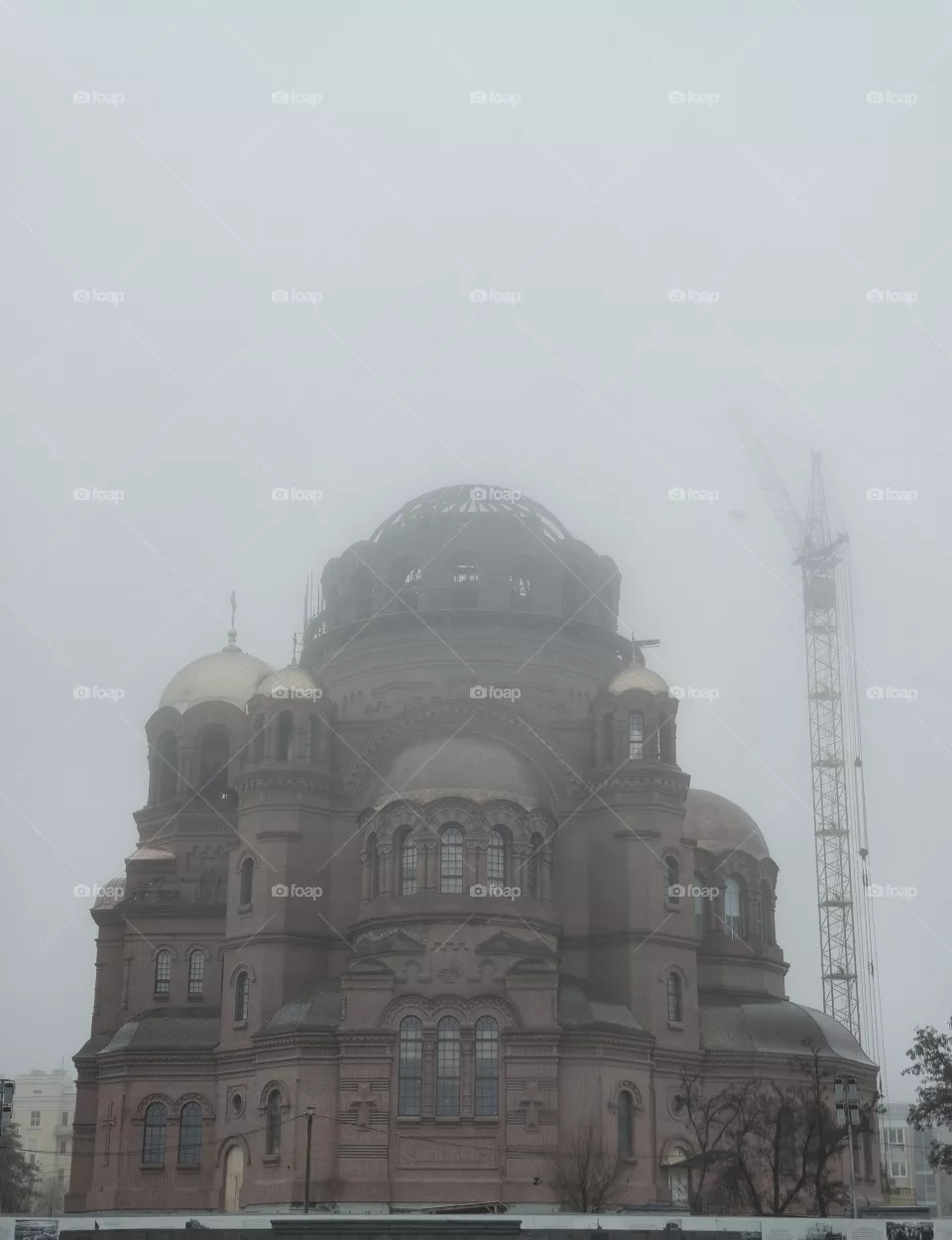 The Fog