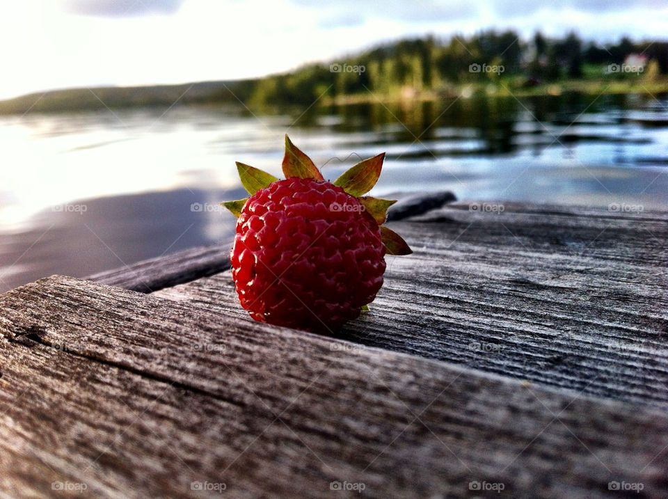 Close-up of fruit on pier