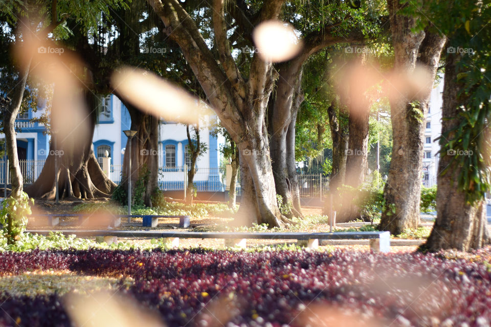 Beautiful place to relax!