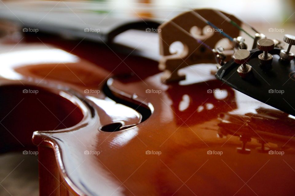 Violin