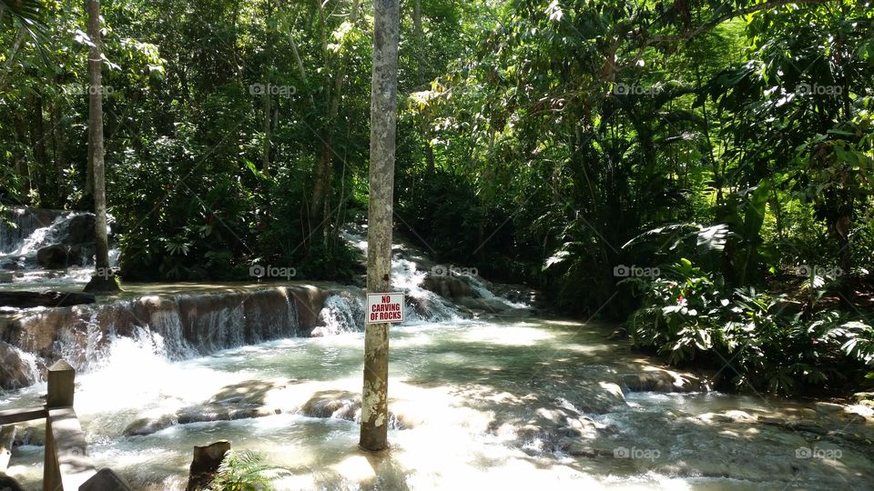 Dunn's River Falls