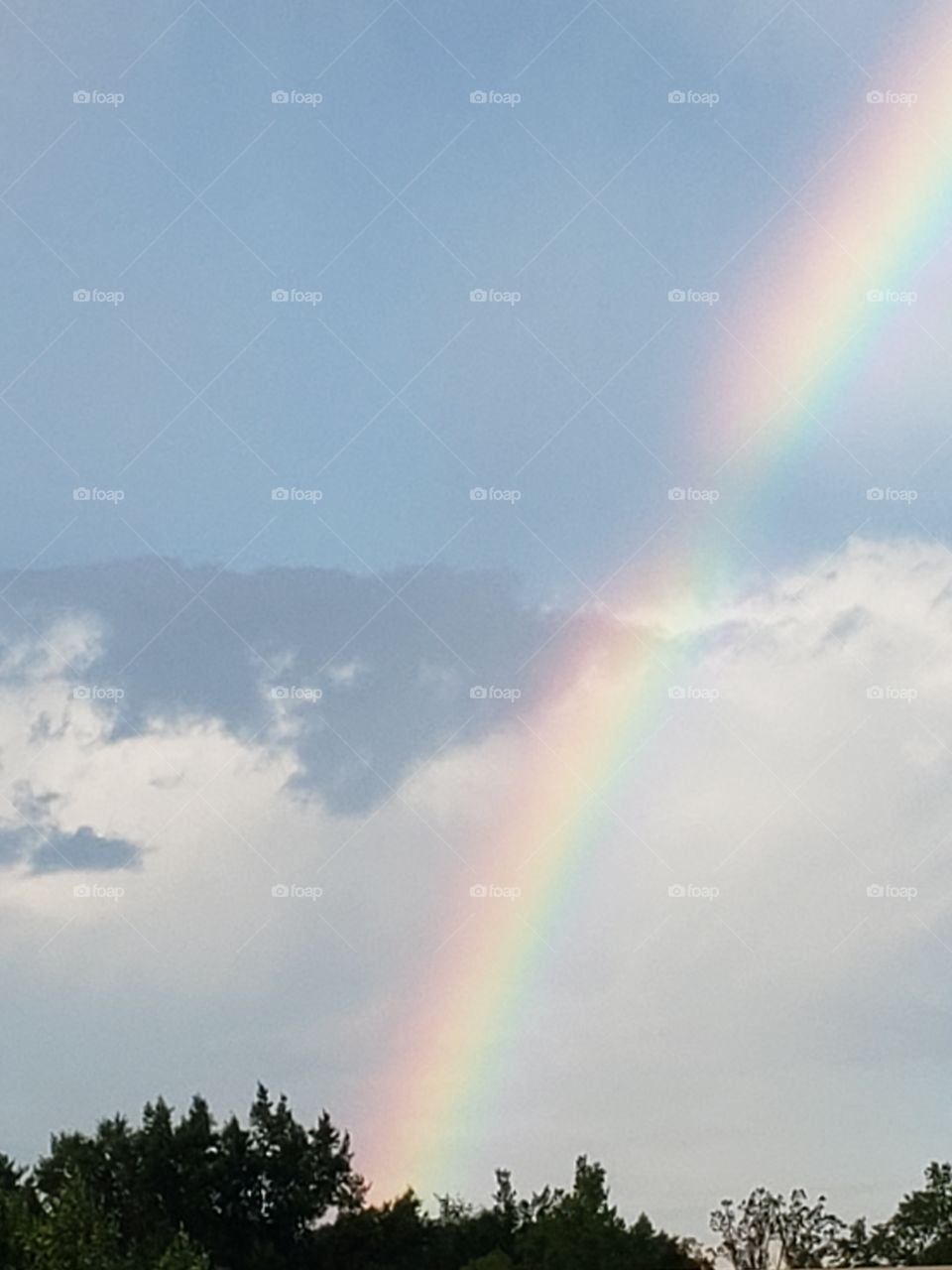 Beautiful colorful rainbow