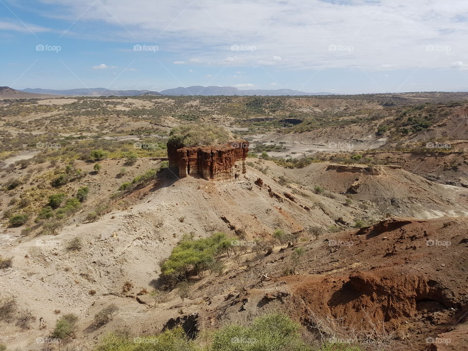 Olduvai Gorge is the oldest evidence of Mankind's evolution.  This is a rich archaeological site in Tanzania where evidence of the first humans has found.