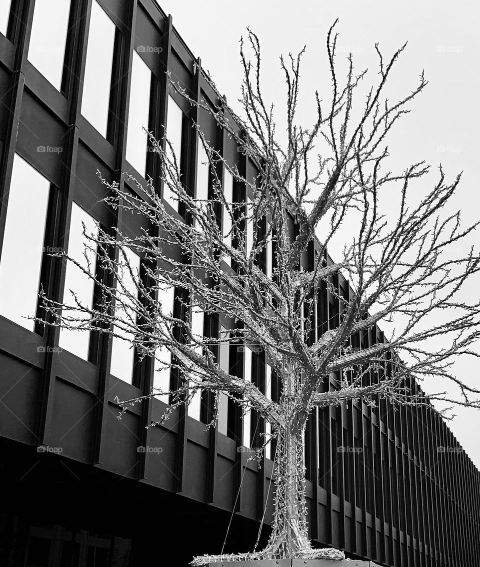 Illuminated tree in the city center...!