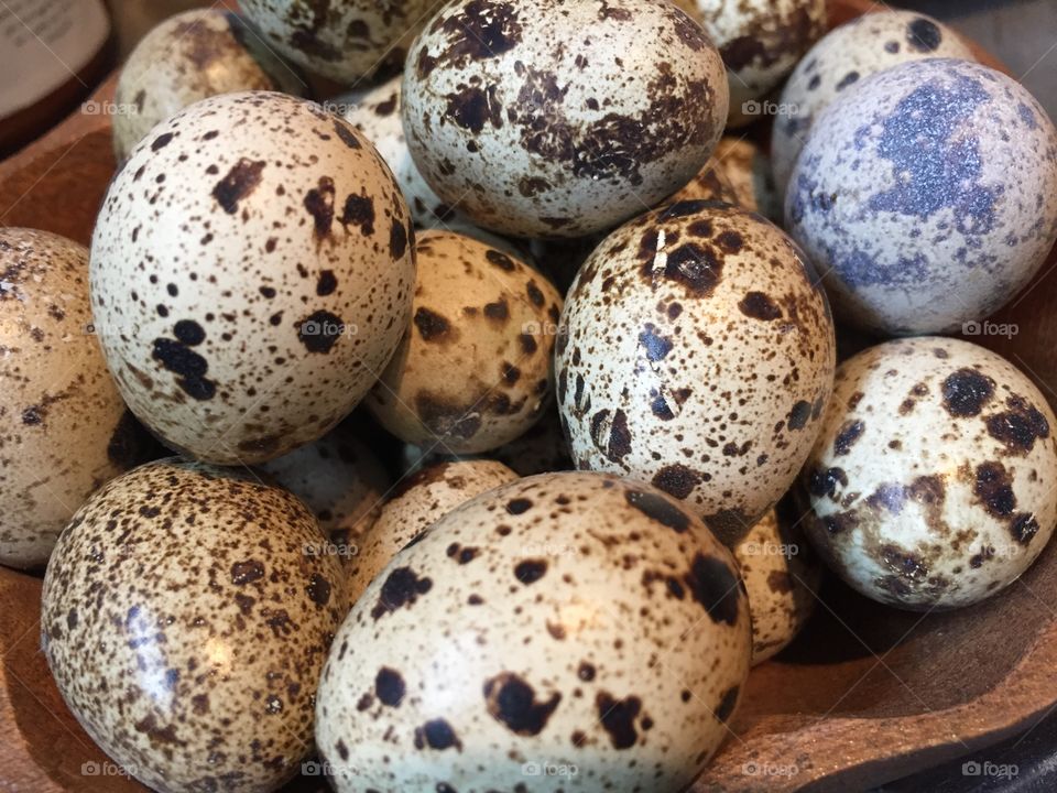 Qual eggs