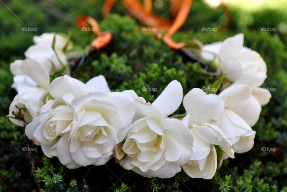 Beautiful white roses flower crown