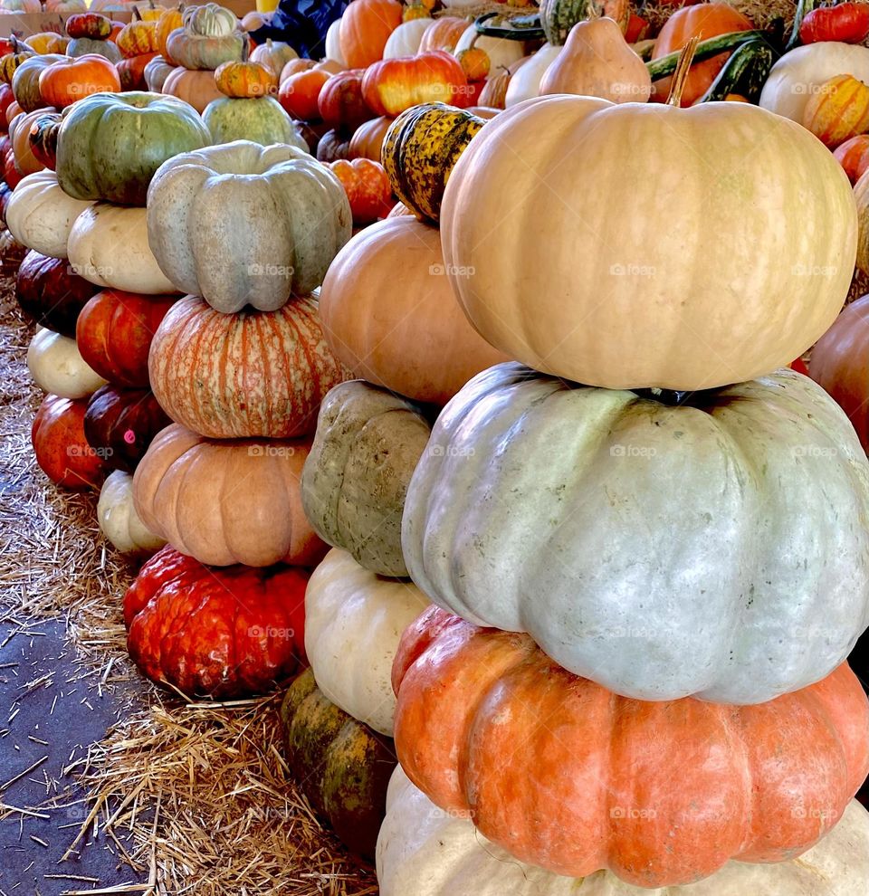 Pumpkins stacked at Farmers Market 