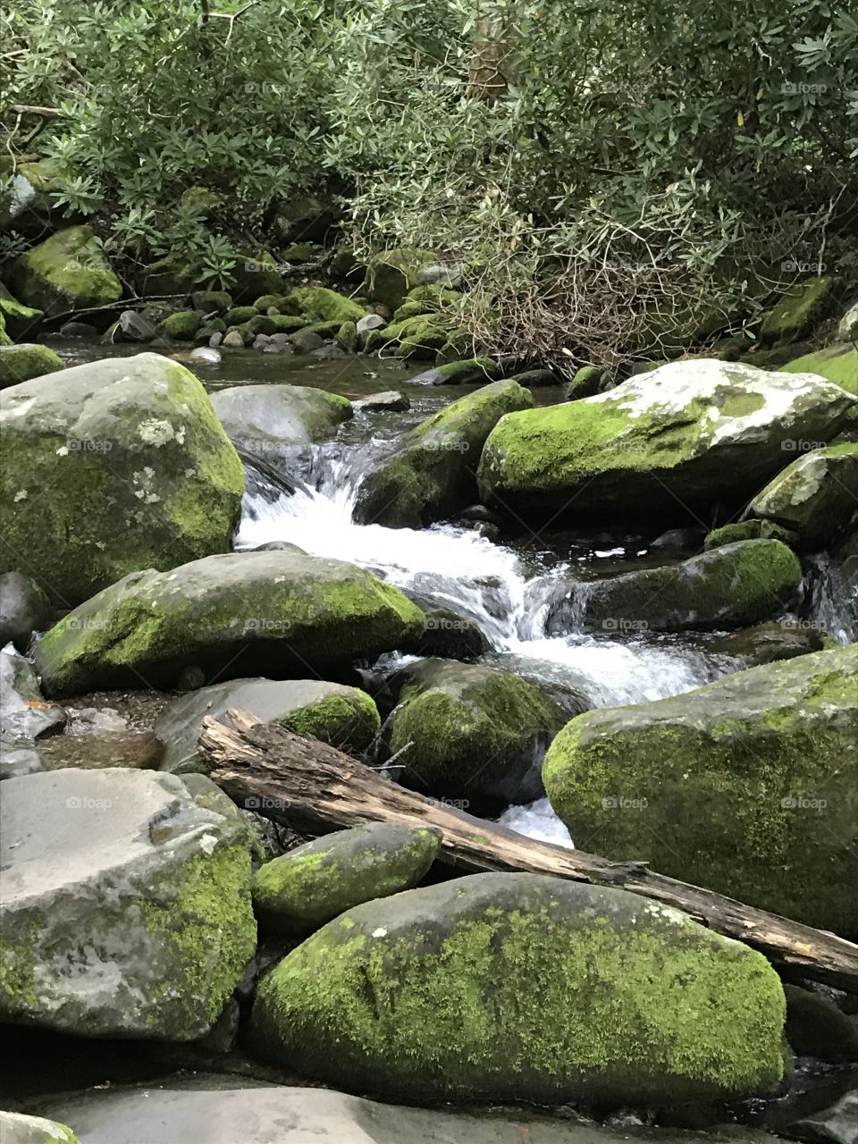 Rock, Water, Nature, River, Moss