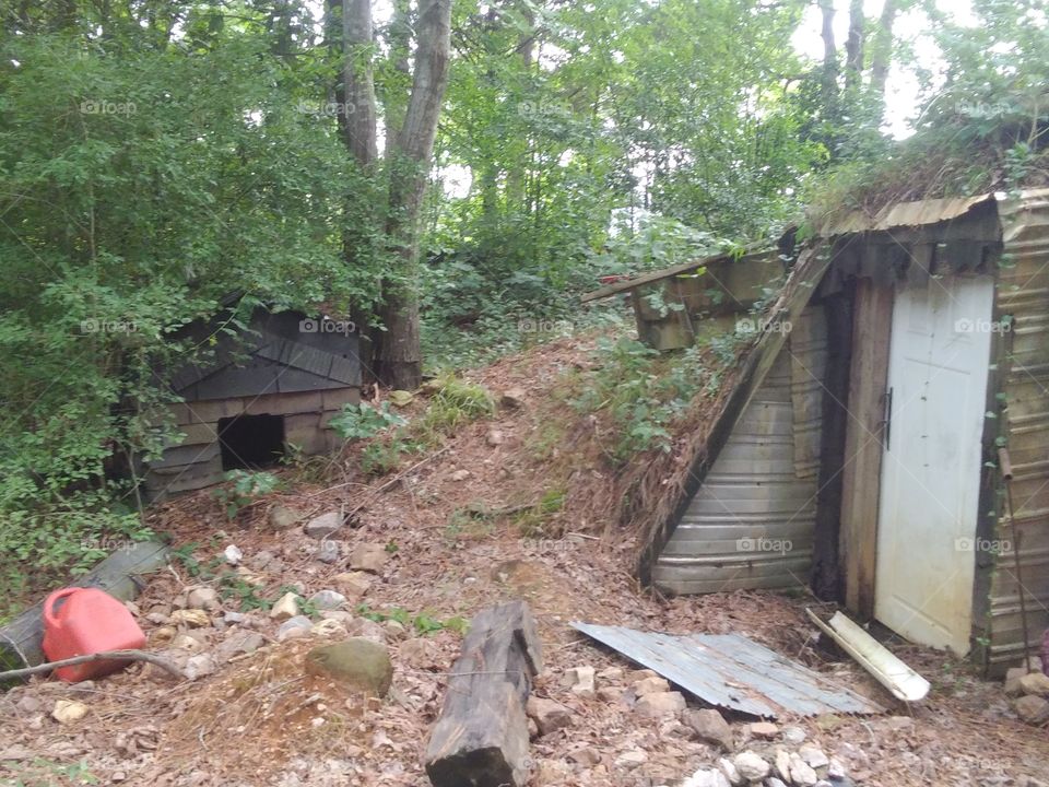 abandon dog house & trail