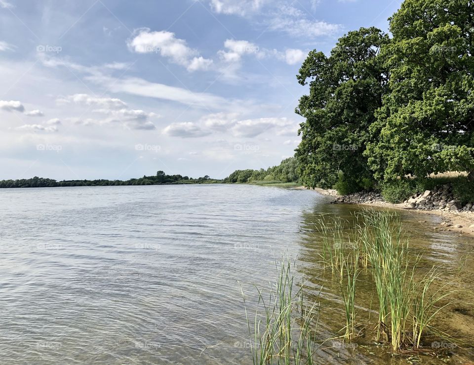 Summer by the coastline, Sweden