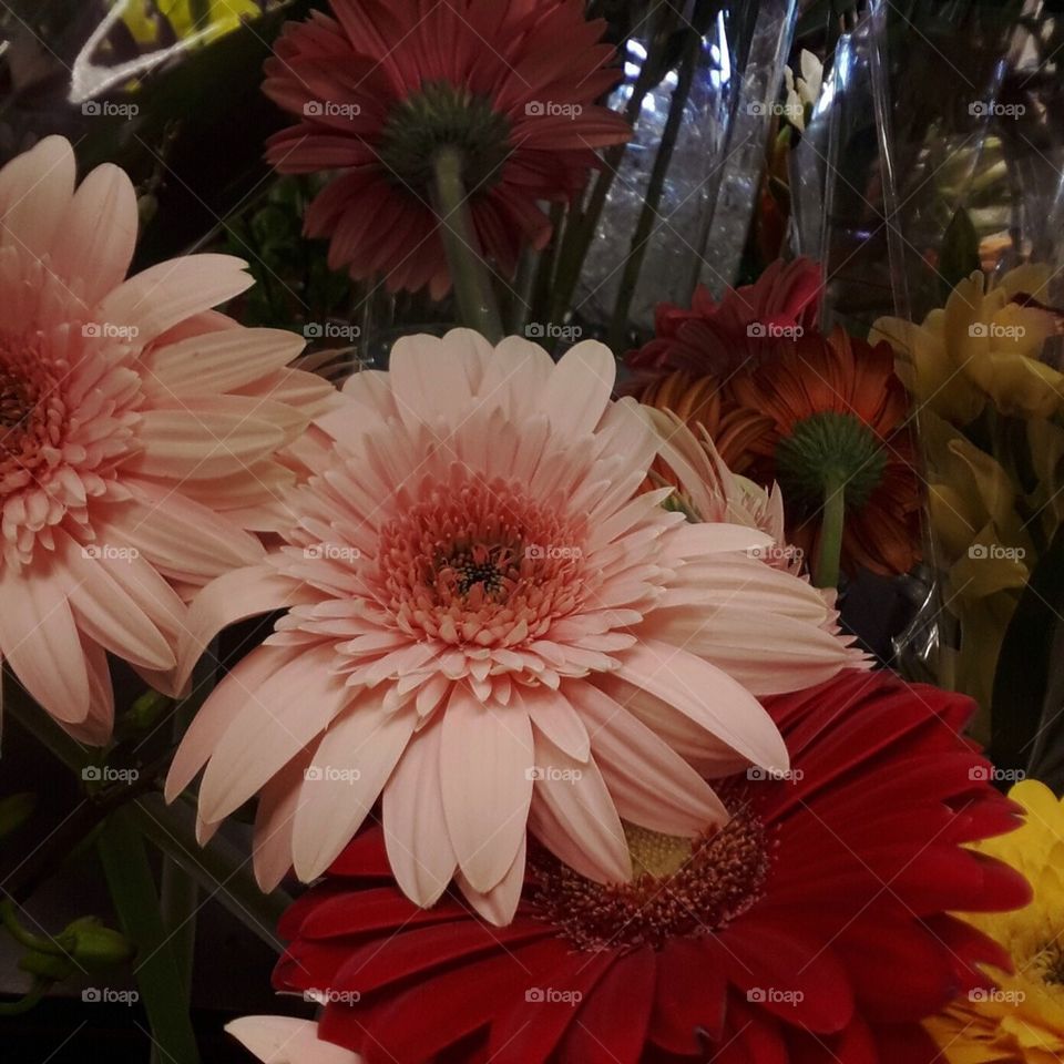 Grocery Store Flowers