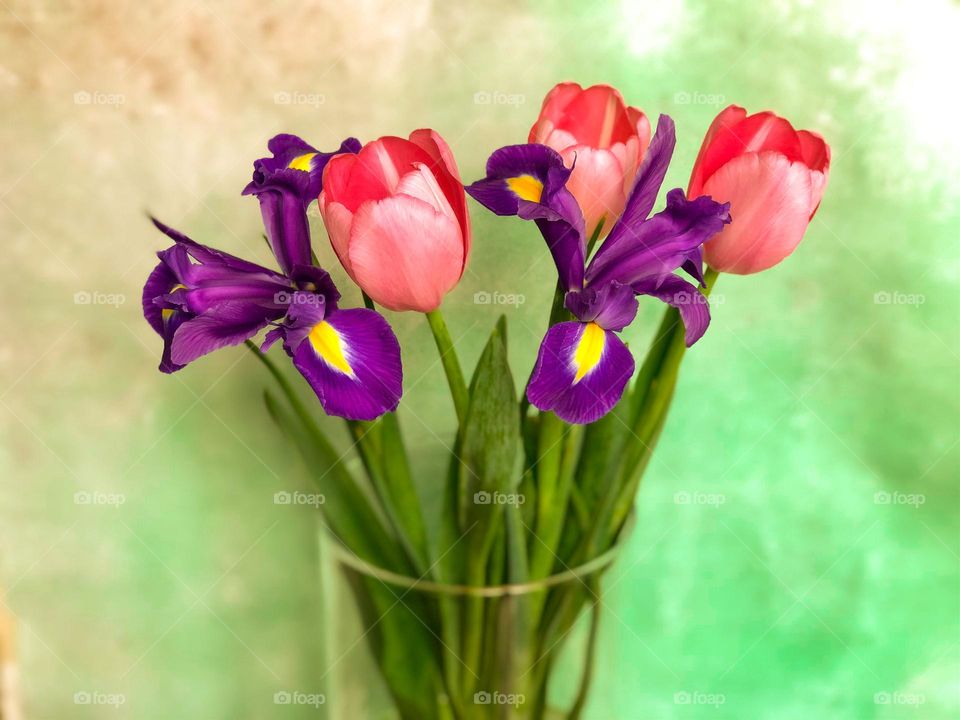 Tulips and irises in a vase 