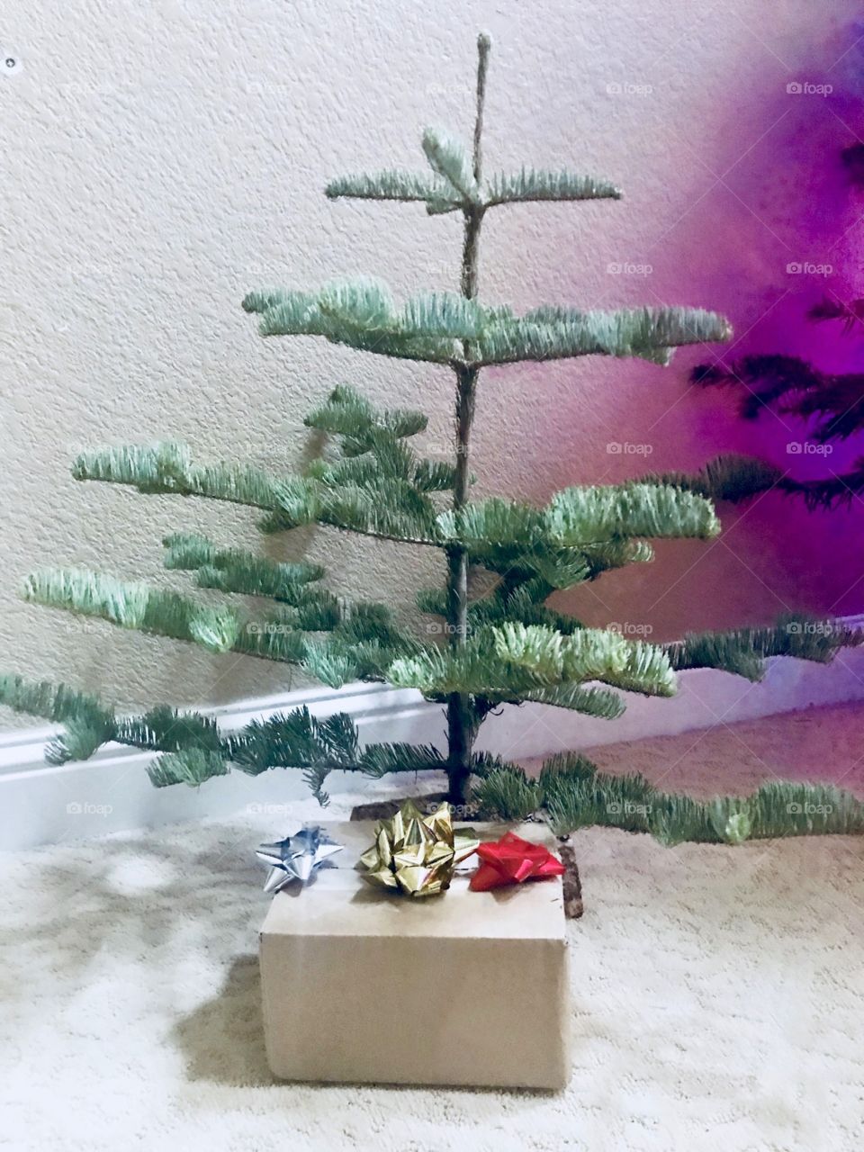 Little Christmas tree and a present with colorful bows. 